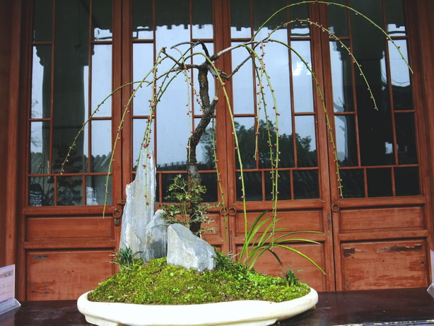 dscf1558.jpg