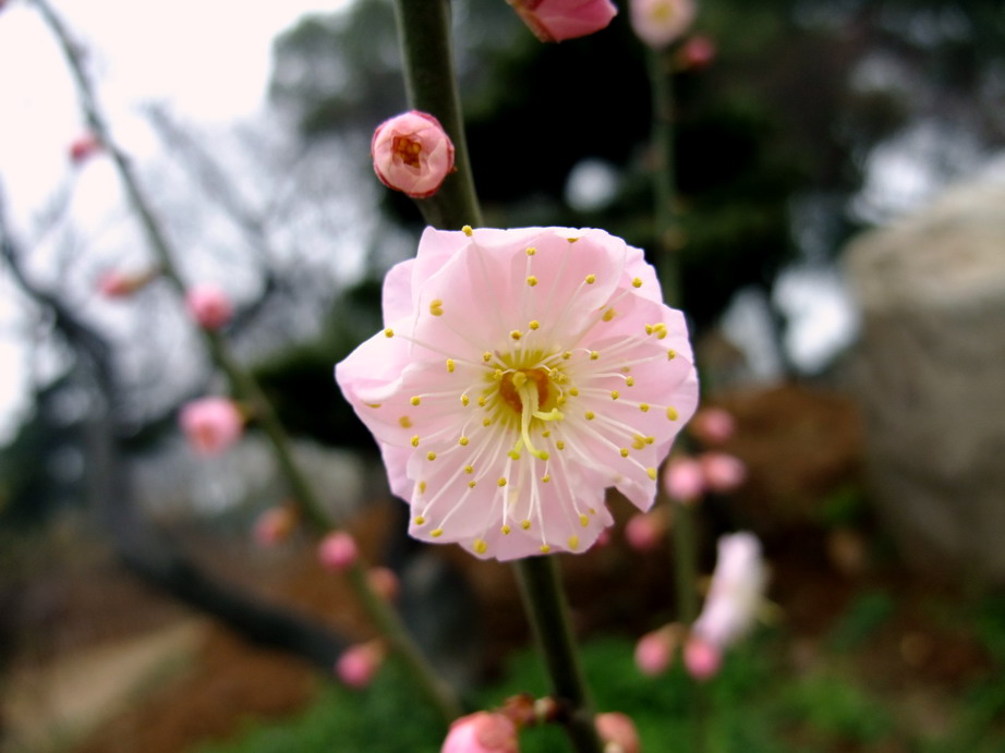 dscf1576.jpg