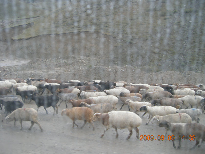 dscn2739.jpg