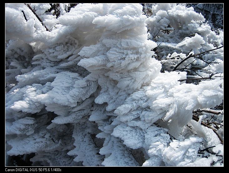 Ƭ 098.jpg