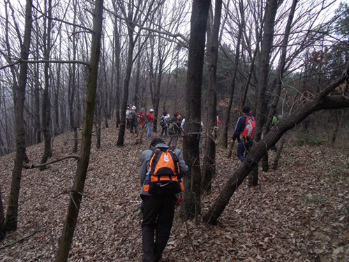 2010-2-27 083.jpg