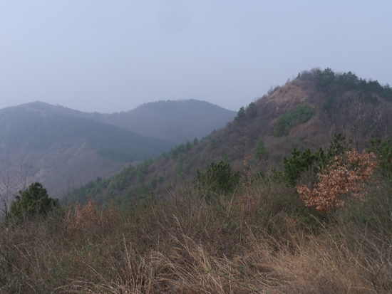 2010-2-27 065.jpg
