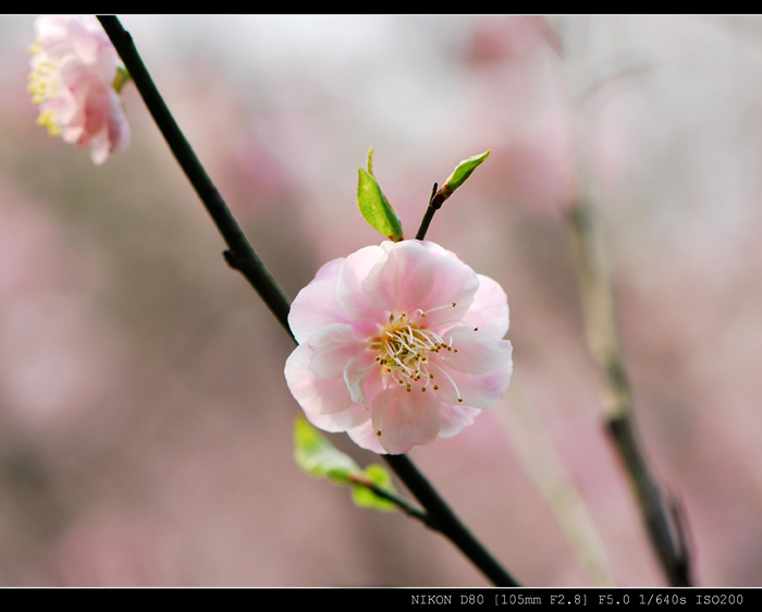 dsc_5434.jpg