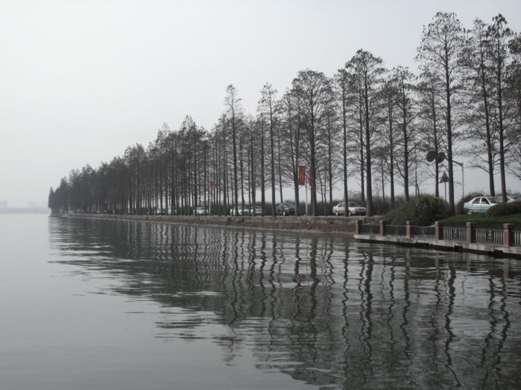 sdc15503.jpg