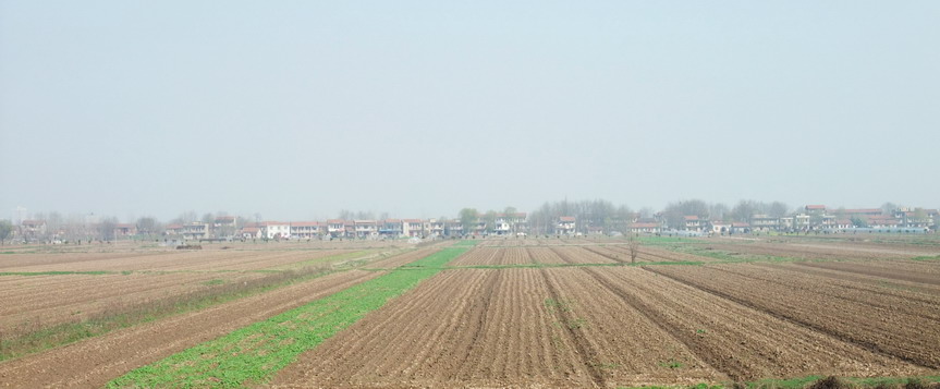 dscf2131.jpg