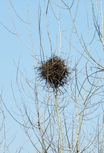 dscf2132.jpg