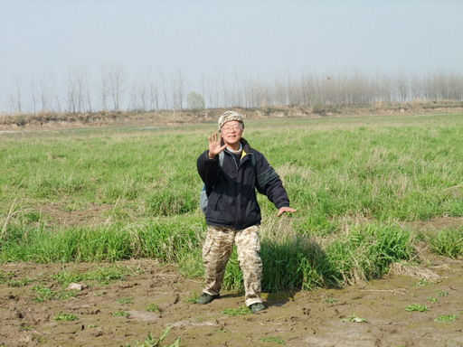 dscf2153.jpg