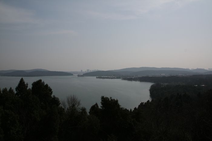 img_1343.jpg