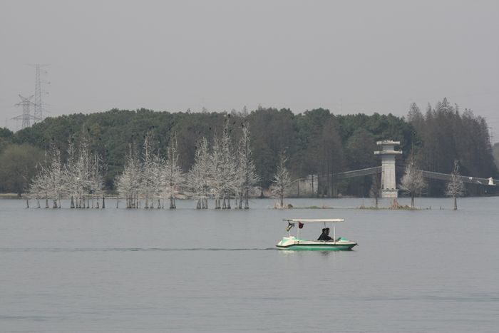 img_1354.jpg