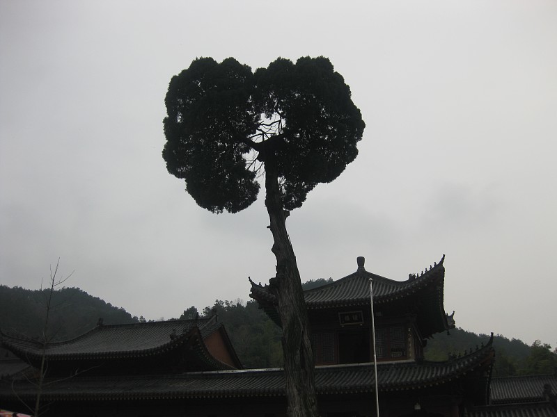 img003.jpg