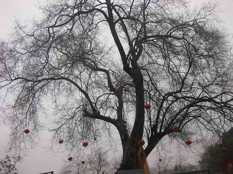 img008.jpg