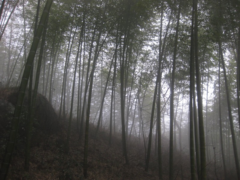 img009.jpg