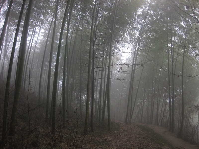img021.jpg