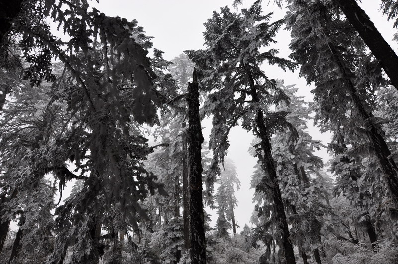 dsc_0100.jpg