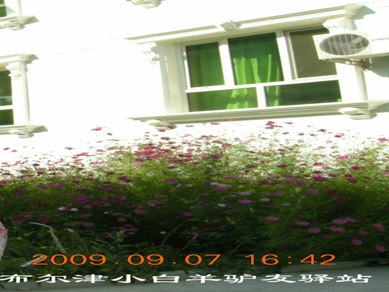 dscn2643.jpg