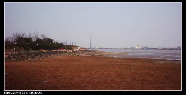 dsci0133.jpg
