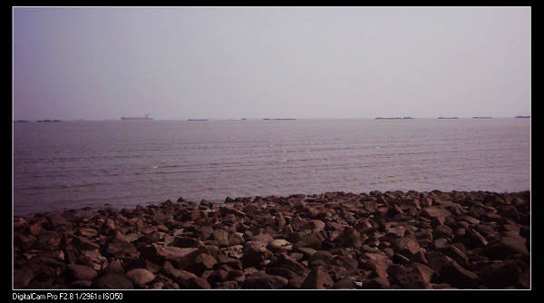 dsci0145.jpg