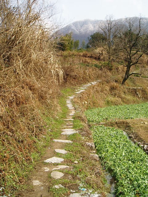p1010901.jpg