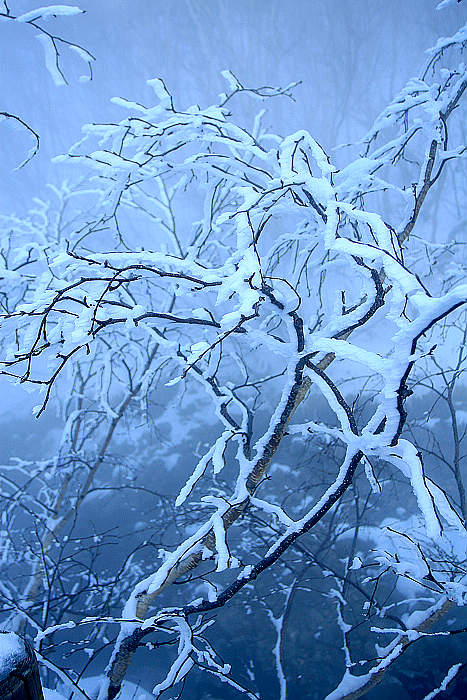 20091111_3048.jpg