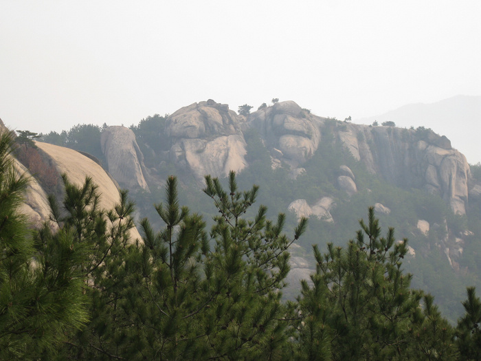 img_0024.jpg