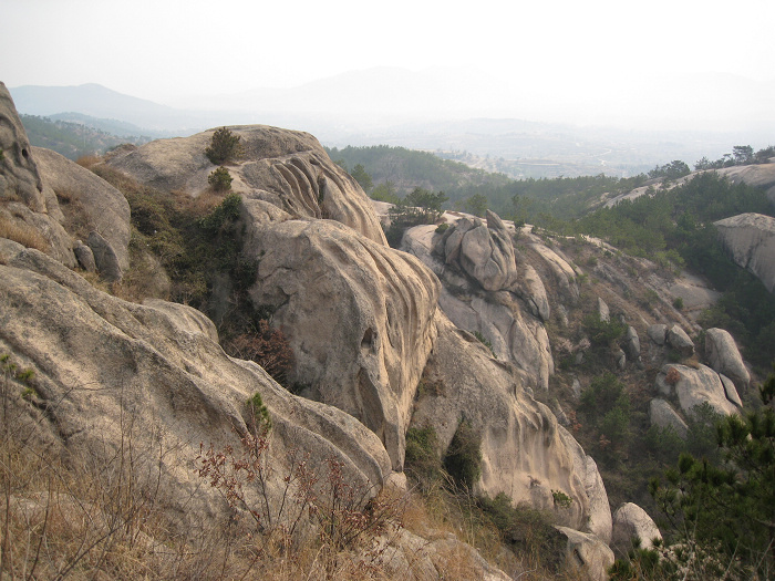 img_0050.jpg