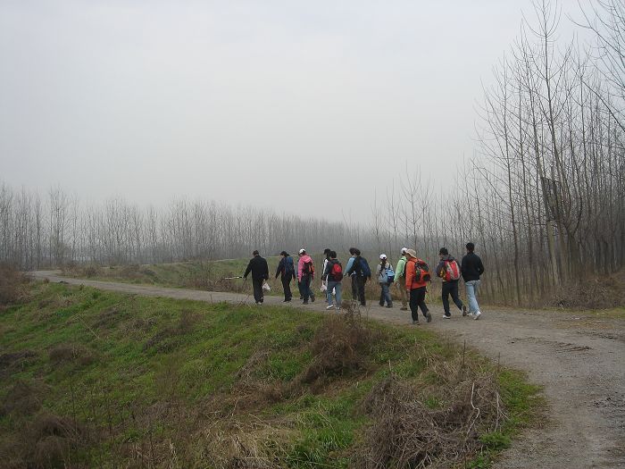 neo_img_dsc09703.jpg