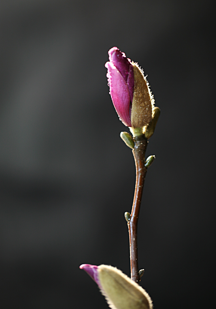 Ƭ 030.jpg