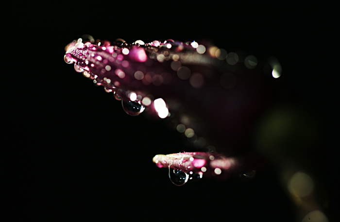 Ƭ 083.jpg