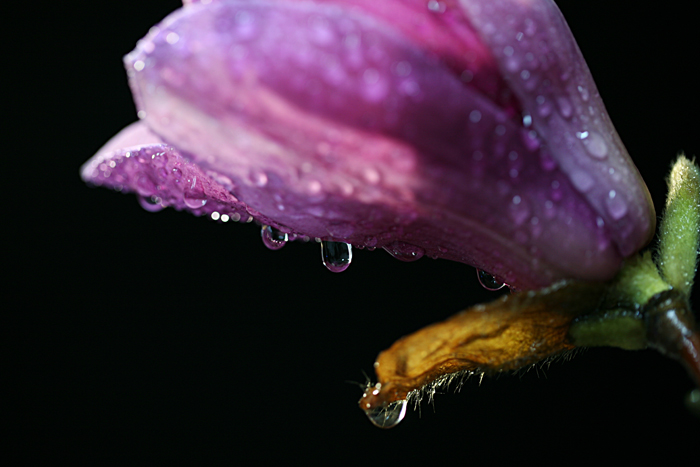   Ƭ 011.jpg
