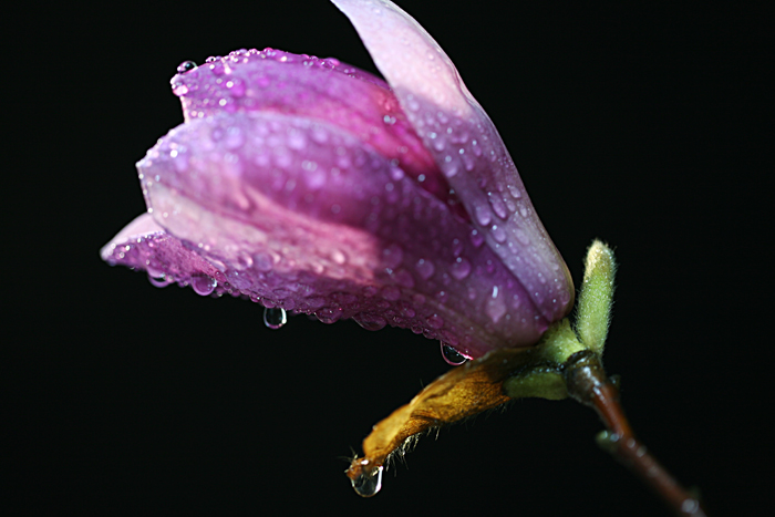   Ƭ 027.jpg