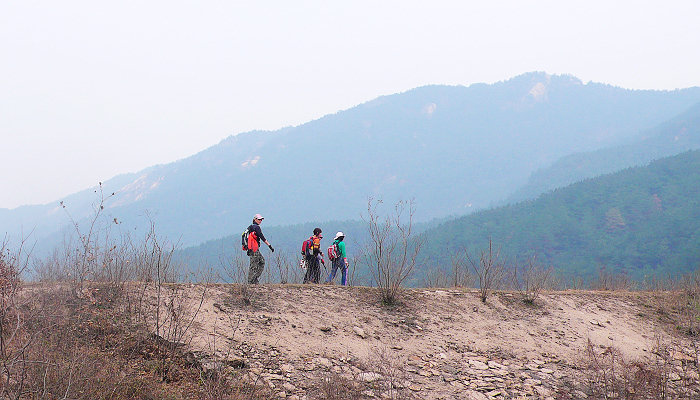p1050335.jpg