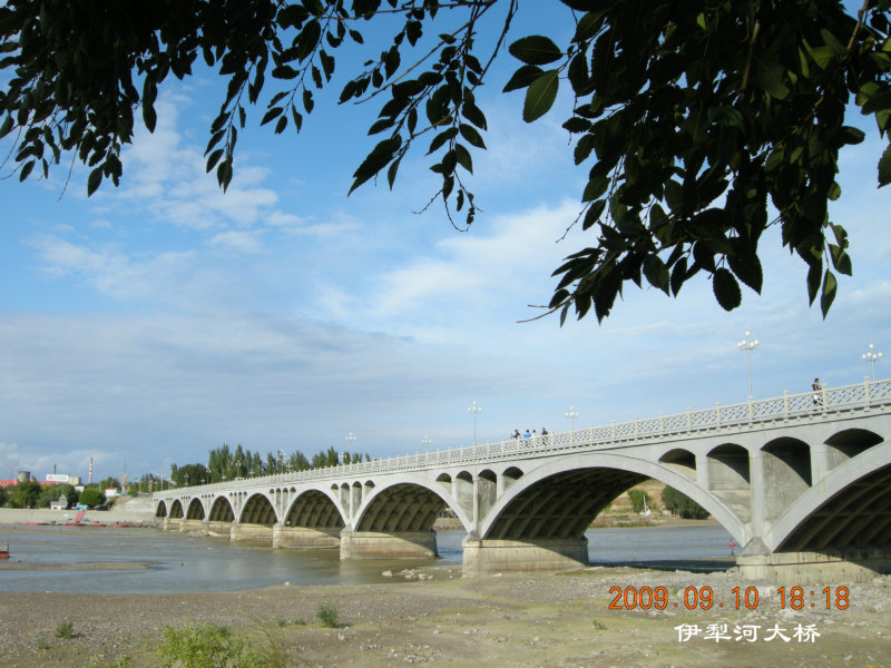 dscn2796.jpg