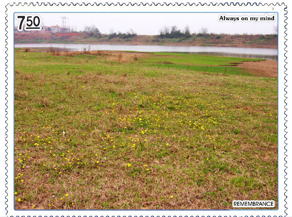 101_5805ƻframe600.jpg