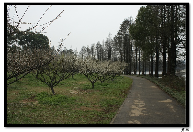 Ƭ 032.jpg