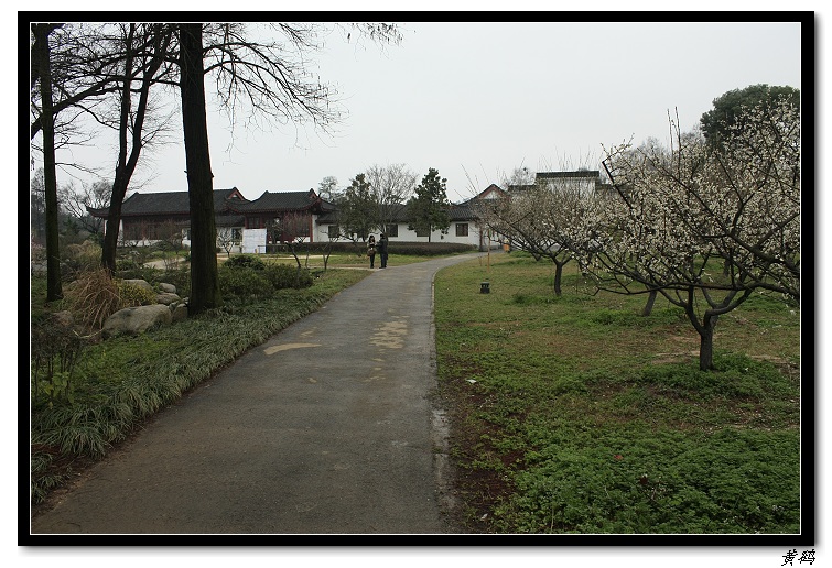 Ƭ 033.jpg