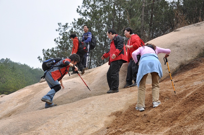 dsc_0742.jpg