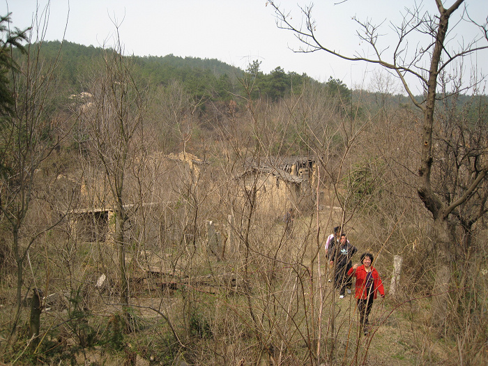 img_0175.jpg