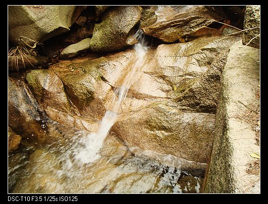 neo_img_dsc03240.jpg