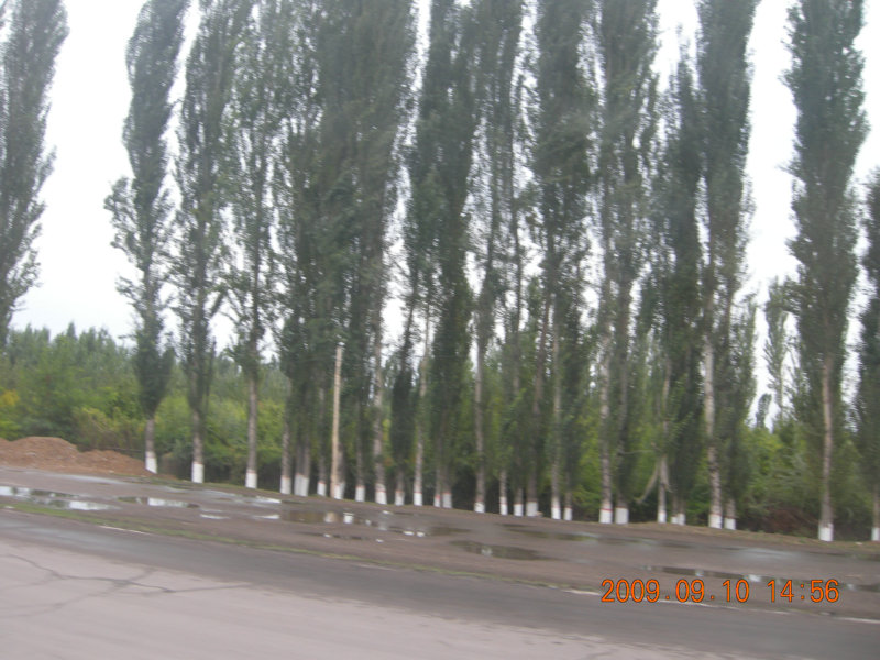 dscn2766.jpg