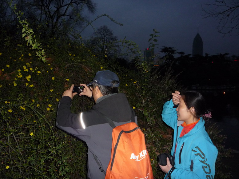p1010867.jpg