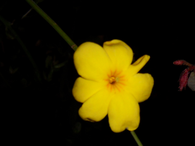 sdc10845.jpg
