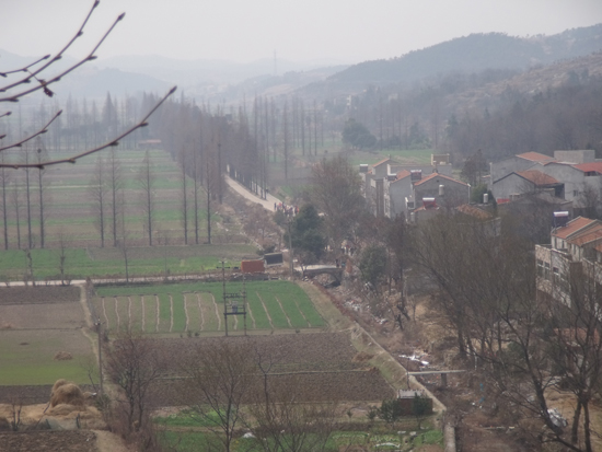 Ӻľɽ2010.03.13 041.jpg