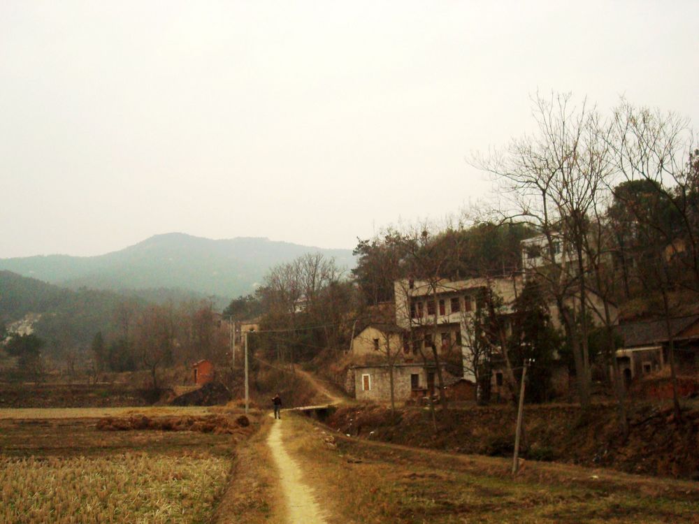 neo_img_dsc09388.jpg