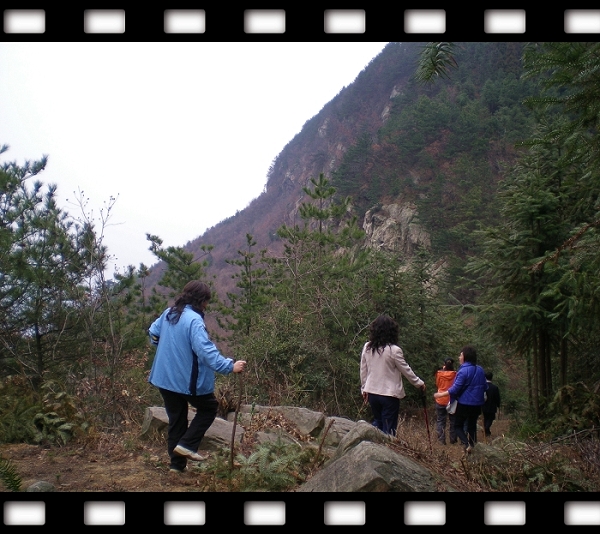 dscn5321.jpg