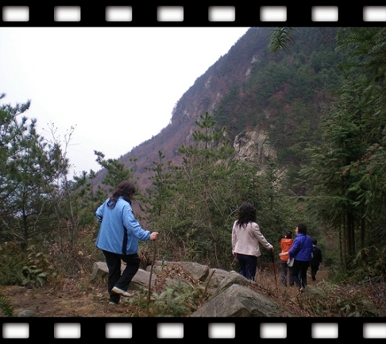 dscn5321.jpg