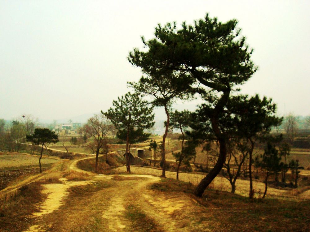 neo_img_dsc09429.jpg