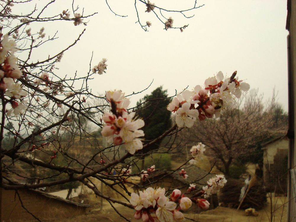 neo_img_dsc09413.jpg