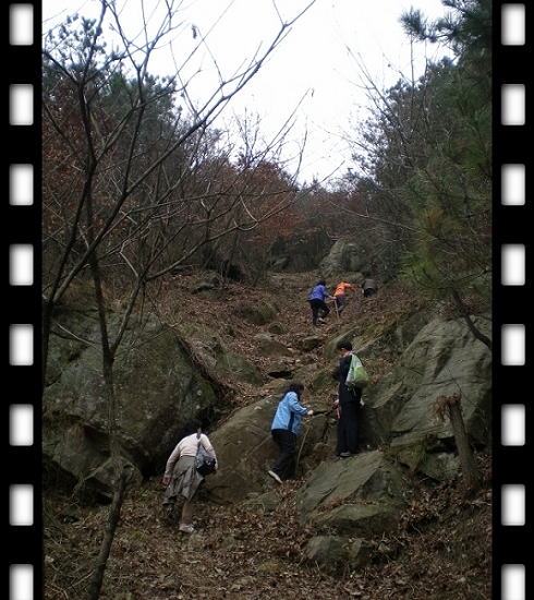 dscn5327.jpg