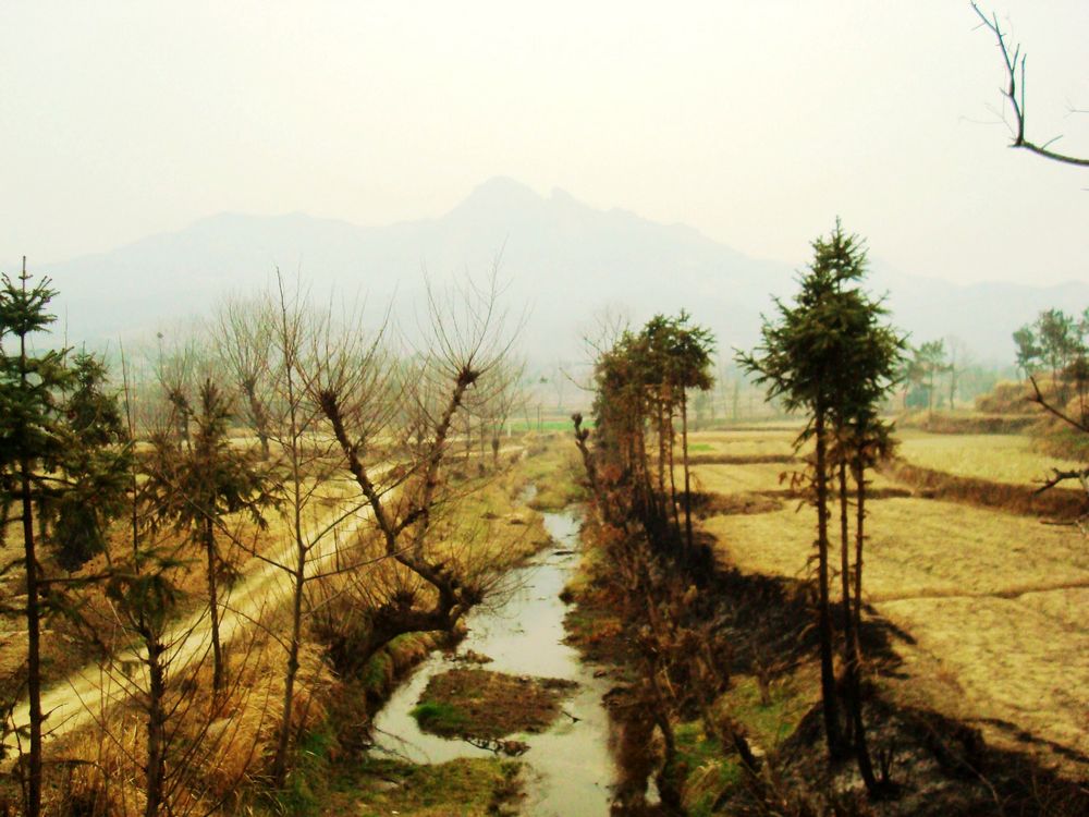 neo_img_dsc09432.jpg