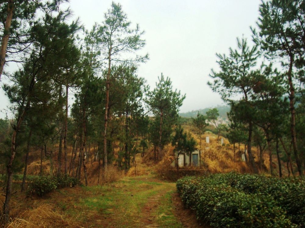 neo_img_dsc09458.jpg